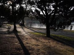 -上海共青森林公园