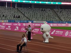 -宝安区体育中心体育馆