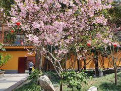 -龙华寺