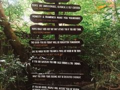 -卷心菜和避孕套餐厅(Pattaya)