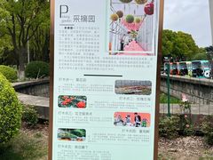 -上海鲜花港