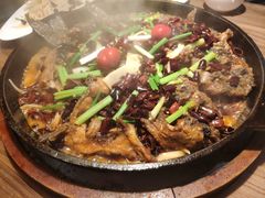 -老板恋上鱼(印象城店)