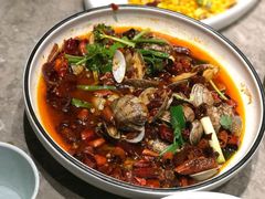 -老板恋上鱼(恒隆广场店)