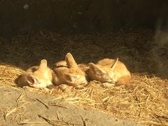 -杭州野生动物世界