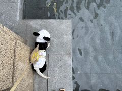 -江山万里