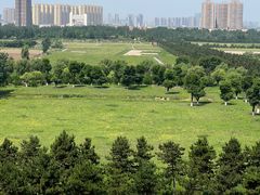 -汉长安城未央宫国家考古遗址公园