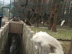 -南京金牛湖风景区