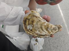 -禾斗海鲜自助(市南银座店)