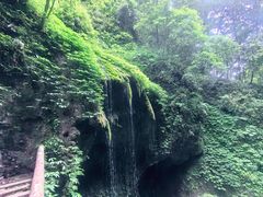 -青城山