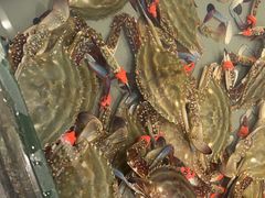 -一方渔歌蒸汽海鲜自助(文化路万达广场店)