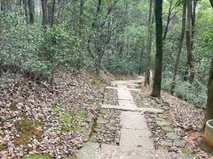 -西湖风景区十里琅珰-五云山