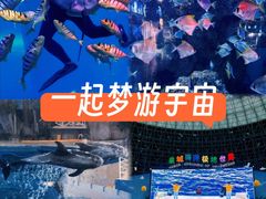-泉城欧乐堡海洋极地世界