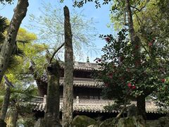 -天一阁博物院