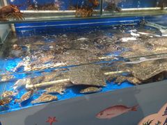 -美廉美超市(圣熙8号购物中心店)