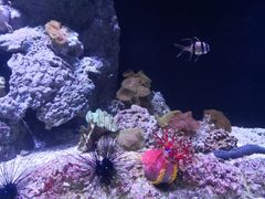 -成都浩海立方海洋公园