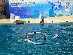 -杭州长乔极地海洋公园