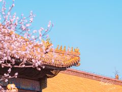 -故宫博物院(故宫)