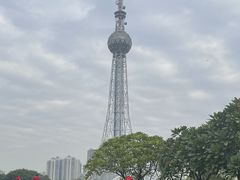-文华公园(禅城区)