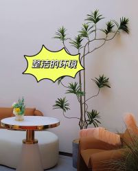-Lily纤美·科技减脂中心
