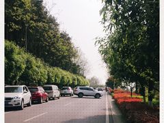 -铁山坪森林公园