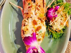 -Onion restaurant