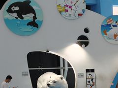 -泉城欧乐堡海洋极地世界
