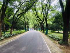-东湖落雁景区