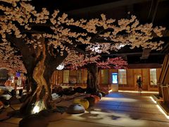 -蓝鲸湾汤泉(包河店)