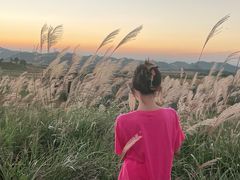 -贵州云顶草原民族风情园