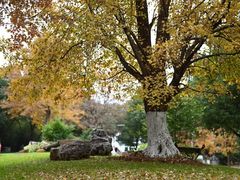 -武汉园博园(武汉自然博物馆)