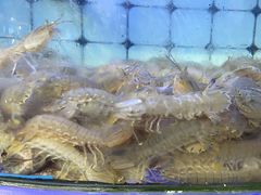 -日照大牌檔•小船海鲜(万平口店)