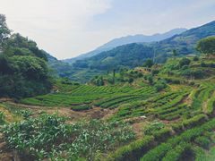-杨家堂村