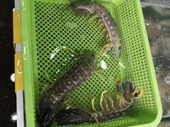 -拉威海鲜市场