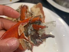 -蓝钻·国际美食海鲜自助百汇(西直门店)