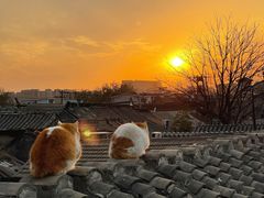 -前叁門