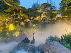 -罗红摄影艺术馆