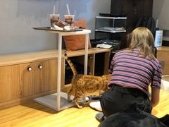 -啵啵喵·猫咖(攀华国际店)