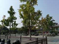 -大雁塔北广场音乐喷泉