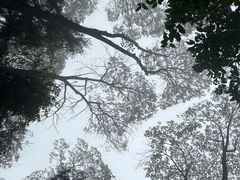 -锦屏山
