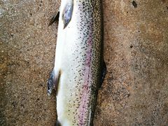 -玉水寨丽江源餐厅