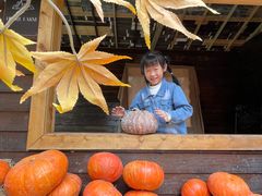 -HERRE·FARM 赫尔露营农场·团建聚会包场