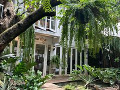 -Fern Forest Cafe