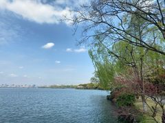 -浙江西子宾馆·瑶园咖啡厅