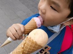 -成裕雪糕店(士多店)