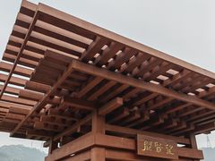 -银湖山郊野公园-相思林