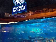 -迪拜水族馆及水下动物园