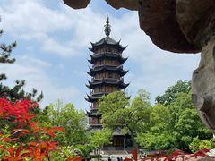 -红梅公园