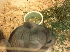 -龙猫仔乐园(惠福东路店)