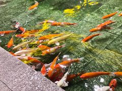 -惠食佳(滨江大公馆店)