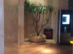 -厚街国际大酒店·360度旋转餐厅